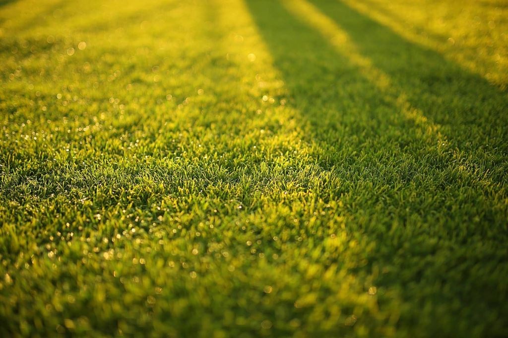 The benefits of Aeration and Scarification